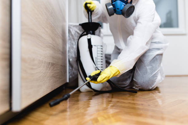 Trusted Newberg, OR Pest Control Experts