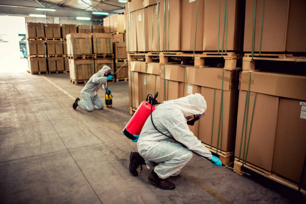 Best Local Pest Control Services  in Newberg, OR