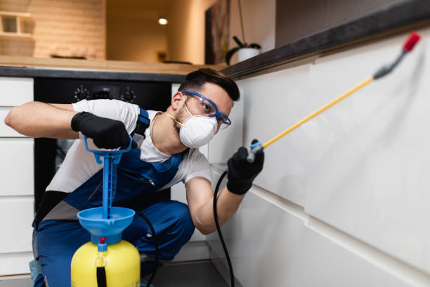 Best Emergency Pest Control  in Newberg, OR