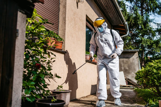 Best Flea Control Services  in Newberg, OR