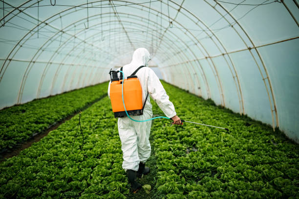 Pest Control Cost in Newberg, OR