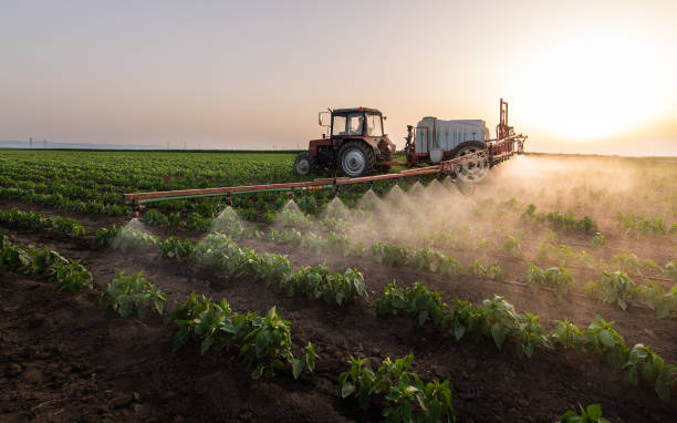 Best Pest Prevention Services  in Newberg, OR