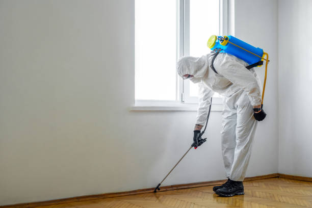 Best Pest Control Near Me  in Newberg, OR