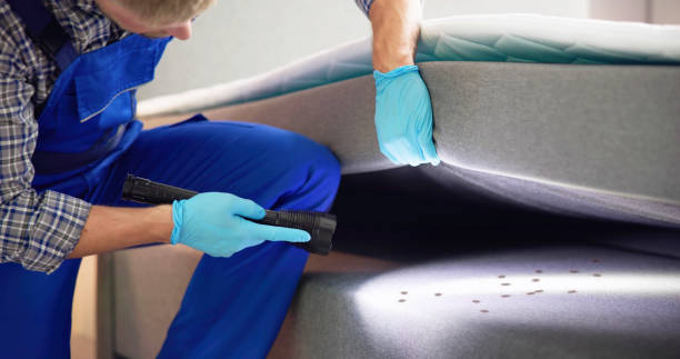 Best Mosquito Control Services  in Newberg, OR