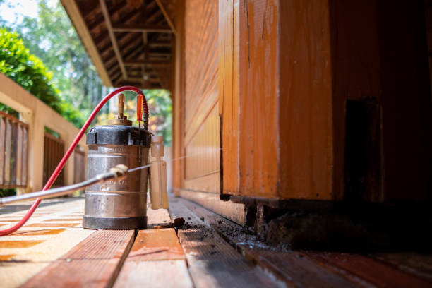 Best Insect Control  in Newberg, OR