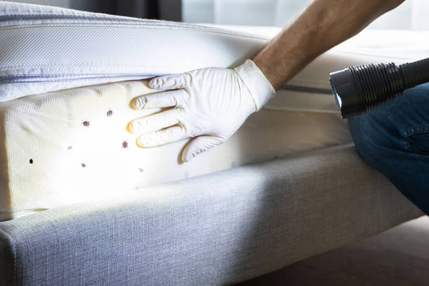 Best Insect Control  in Newberg, OR