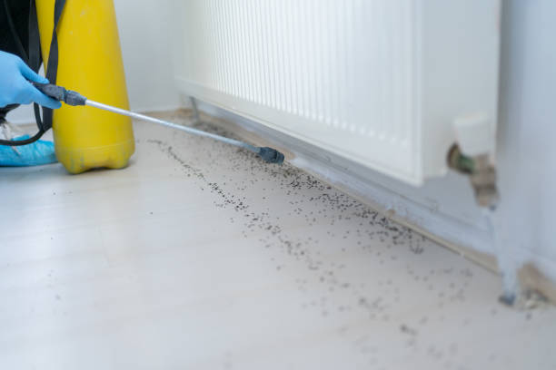 Best Cockroach Control Services  in Newberg, OR